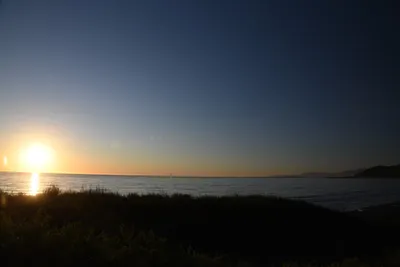 DSC_6814 (Large).JPG